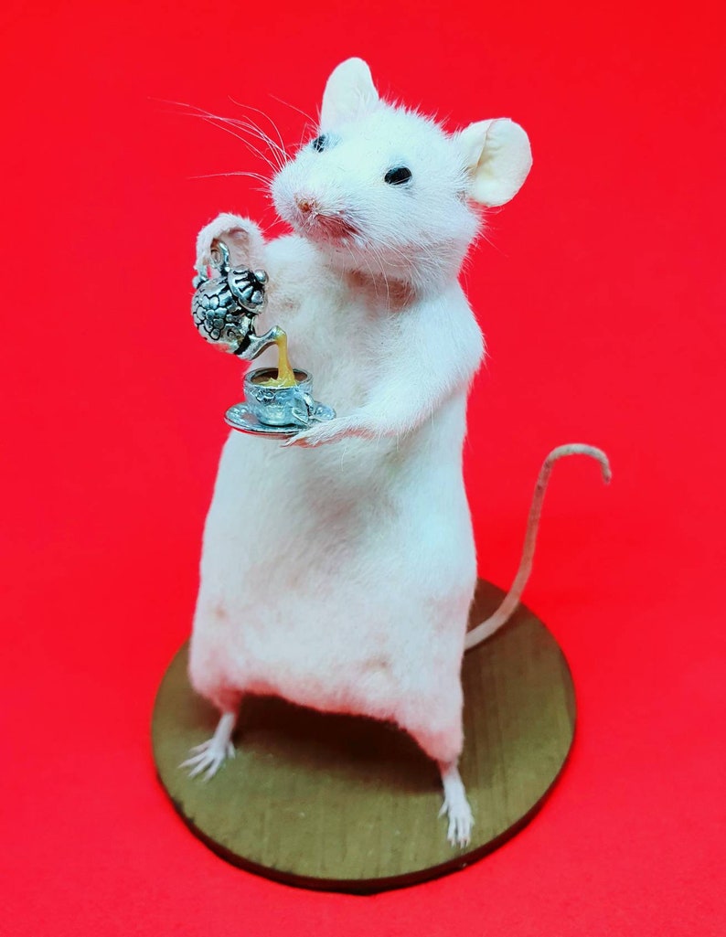 TEA Taxidermy Mouse cottagecore, teapot, cup of tea, British, brew, teabag, oddities, curio, curiosities, goth, gothic, image 3