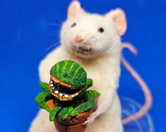 Little Shop of Horrors Taxidermy Mouse ~ cottagecore, gift, present, gardening, houseplant, indoor plant, gardener oddities curiosities