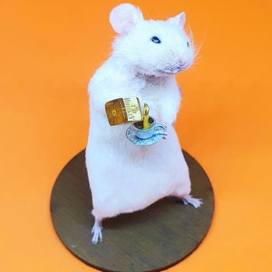 WHISKEY Taxidermy Mouse Whisky, gift, birthday present, teacup, burns night, oddities, curio, curiosities, goth, gothic image 7