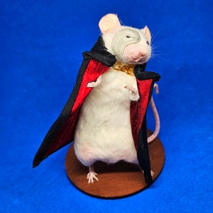 Phantom of the Opera Taxidermy mouse theatre, west end, broadway, musical, Ghost, oddities, curio, curiosities, goth, gothic image 4