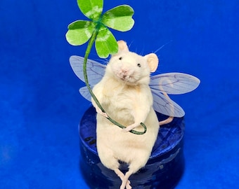 Lucky four leaf clover taxidermy Mouse ~ cottagecore, gift, present, graduation, test, exams