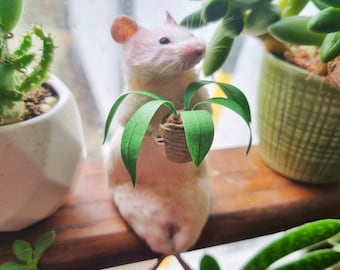 Taxidermy Mouse with Cast Iron plant - gift present gardening houseplant pot plant indoor plant garden gardener oddities curio curiosities
