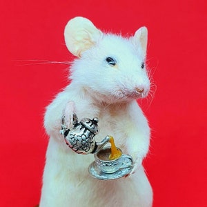 TEA Taxidermy Mouse cottagecore, teapot, cup of tea, British, brew, teabag, oddities, curio, curiosities, goth, gothic, image 4