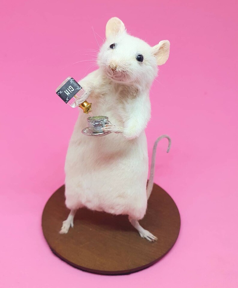 Taxidermy Mouse with GIN tonic gift birthday present image 6