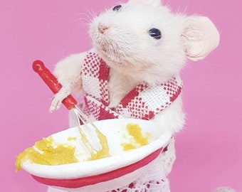 Baker Taxidermy Mouse ~ gift, cooking, curio, curiosities, oddities, Great British Bake Off, Great British Baking Show