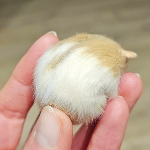 Hamster Sleeping taxidermy curio and oddities, cosplay, kawaii, cute image 4