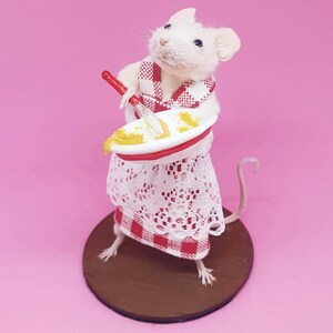Baker Taxidermy Mouse gift, cooking, curio, curiosities, oddities, Great British Bake Off, Great British Baking Show 画像 5