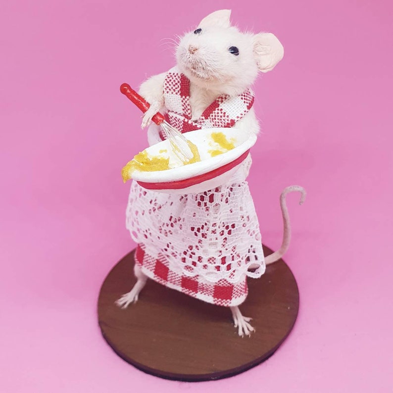 Baker Taxidermy Mouse gift, cooking, curio, curiosities, oddities, Great British Bake Off, Great British Baking Show image 5