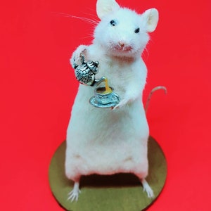 TEA Taxidermy Mouse cottagecore, teapot, cup of tea, British, brew, teabag, oddities, curio, curiosities, goth, gothic, image 6