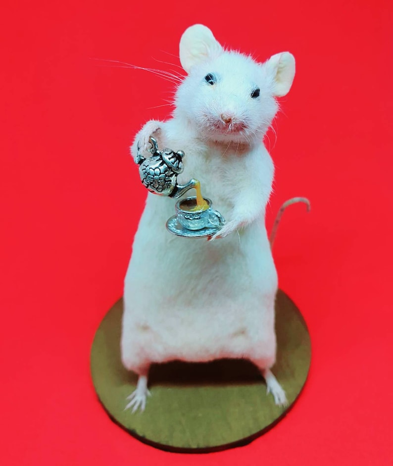 TEA Taxidermy Mouse cottagecore, teapot, cup of tea, British, brew, teabag, oddities, curio, curiosities, goth, gothic, image 6