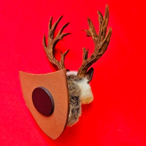 Mouse head mount taxidermy with antlers jackalope style, dollshouse oddities, curio image 4