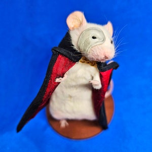 Phantom of the Opera Taxidermy mouse theatre, west end, broadway, musical, Ghost, oddities, curio, curiosities, goth, gothic image 1