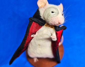 Phantom of the Opera Taxidermy mouse ~ theatre, west end, broadway, musical, Ghost, oddities, curio, curiosities, goth, gothic