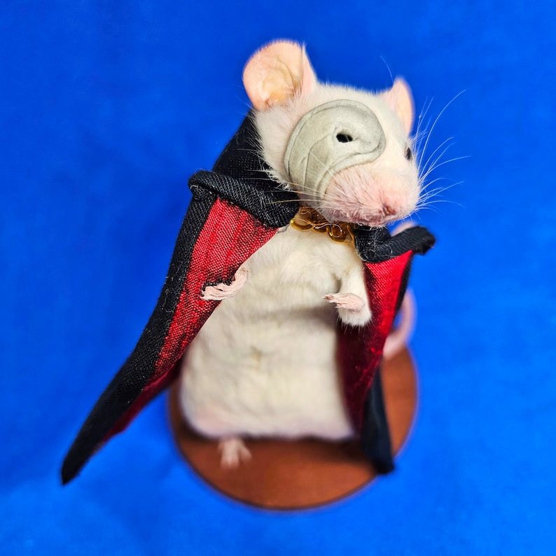 Phantom of the Opera Taxidermy mouse theatre, west end, broadway, musical, Ghost, oddities, curio, curiosities, goth, gothic image 1