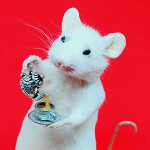 TEA Taxidermy Mouse cottagecore, teapot, cup of tea, British, brew, teabag, oddities, curio, curiosities, goth, gothic, image 1