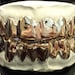 see more listings in the Grillz section