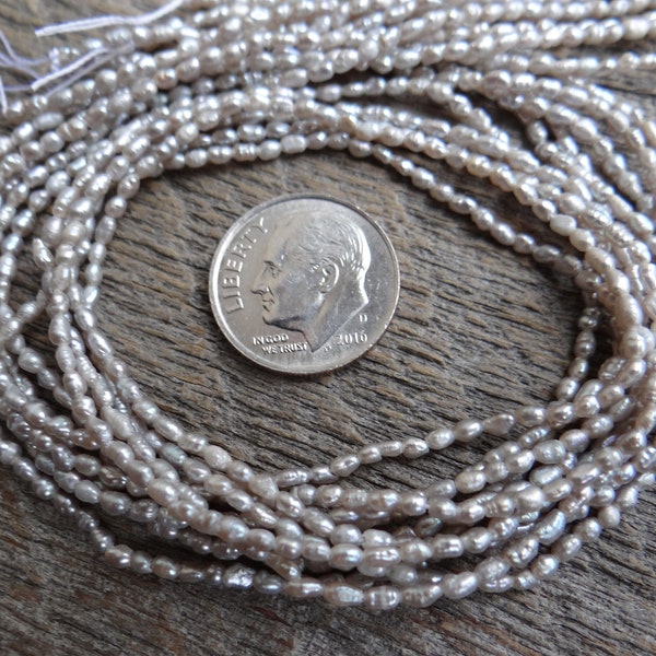Very Dainty Natural Silver Grey Chinese Freshwater Rice Pearls | Straight Drilled | ~2-3x1.5mm | 3.75 Inch Strands | Use 26 Gauge+