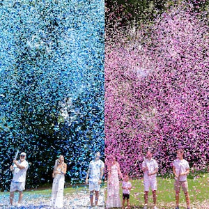 May include: A gender reveal celebration with a burst of blue and pink confetti. People in white clothing stand in front of the colorful display. The confetti fills the air, creating a vibrant and festive scene.