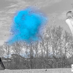 Gender Reveal Baseball Gender Reveal Baseballs in Pink or Blue Filled w/ Powder and or Confetti Pair with Our Cannons Handmade Baseball image 8