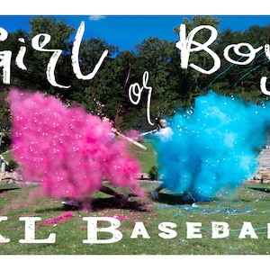 Gender Reveal Baseball Gender Reveal Baseballs in Pink or Blue Filled w/ Powder and or Confetti Pair with Our Cannons Handmade Baseball image 1