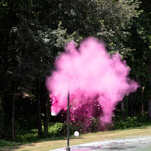 XL Shooting Target Gender Reveal Pink or Blue | Powder Confetti Burst Target | Gun Gender Reveal Party Idea image 4