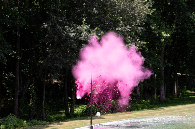 XL Shooting Target Gender Reveal Pink or Blue | Powder Confetti Burst Target | Gun Gender Reveal Party Idea image 4