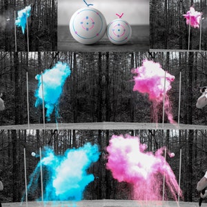 XL Target Gender Reveal, Skeet Shooting Targets, XL Hanging Targets in Pink, Blue, Green, Purple, Yellow, Orange Powder Confetti.