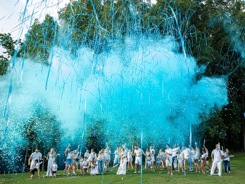 Gender Reveal Cannons 32 Confetti Powder Streamer Poppers Gender Reveal Ideas Baby Shower Gender Reveal Confetti Cannon image 1