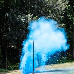 XL Shooting Target Gender Reveal Pink or Blue | Powder Confetti Burst Target | Gun Gender Reveal Party Idea image 5