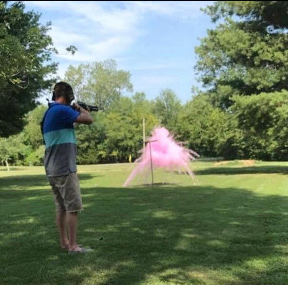 Shooting Target Gender Reveal Shooting Target Ball in Pink or Etsy