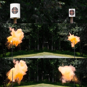 Gender Reveal Shooting Targets | Skeet & XL Skeet Targets | Pink or Blue Powder Reveal | Gun Gender Reveal Party | Confetti Burst Target image 8