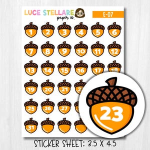 Acorn Datumomslag Planner Stickers / E-07