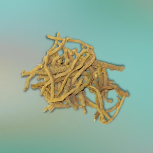 May include: A pile of dried, light brown roots with a tangled appearance. The roots have a rough texture and vary in thickness. The background is a gradient of blue and green.