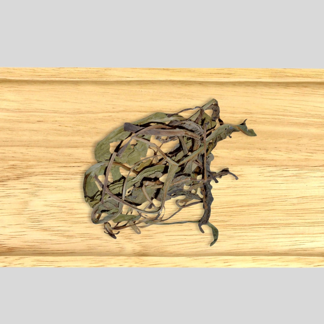 deertongue tobacco A Deertongue Story Deer's Tongue Leaf - 1oz