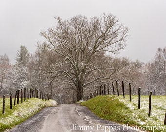 Snow on Sparks Lane, Smoky Mountain National Park, Trees, Winter, Snow, Fine Art Print, Jimmy Pappas Photography