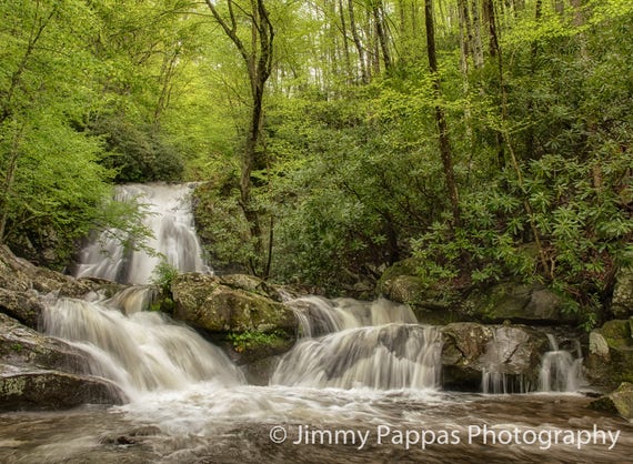 Spruce Flat Falls #1, Smoky Mountains, Tremont, Landscape