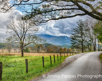 Cades Cove and Trees, Smoky Mountains National Park, Scenic, Fine Art Print, Jimmy Pappas Photography