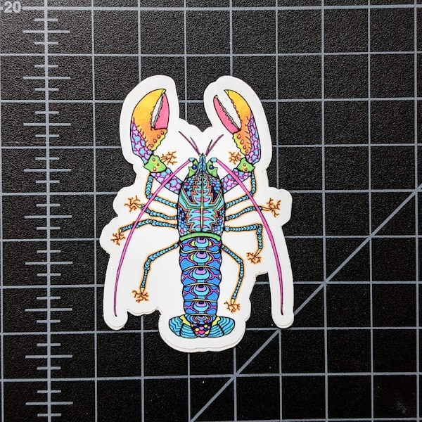 Trippy Sticker | "Rock Lobster" | Lobster Sticker | Car Sticker | Laptop Sticker | Water Bottle Sticker | SCUBA Sticker