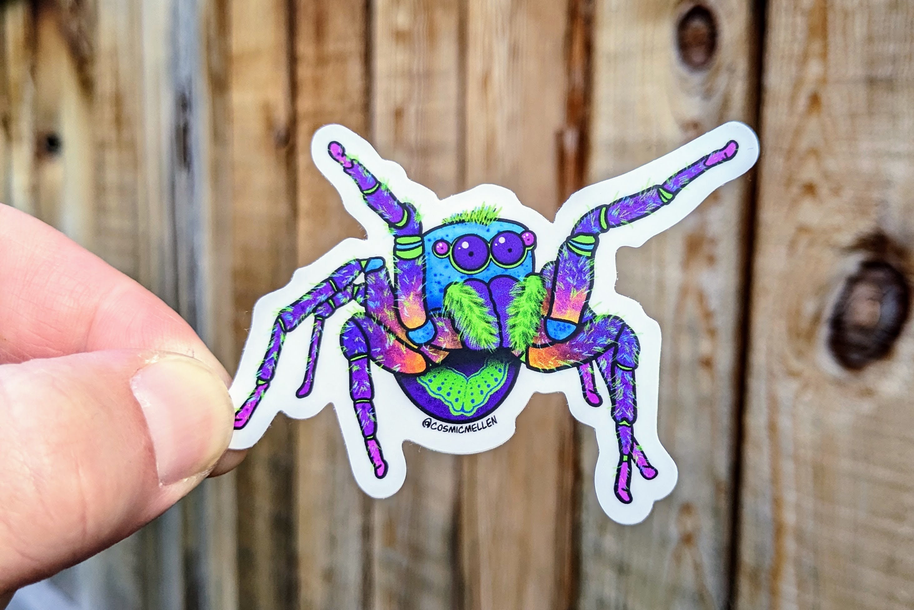 Simple Spider Sticker Spider Sticker Pack | Trippy Sticker | Spider Sticker | Water Bottle ...