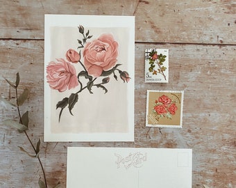 Rose Print Postcard - Natural History