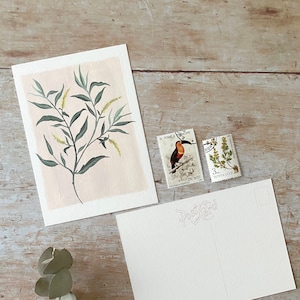 Carte postale imprimée Willow - Histoire naturelle