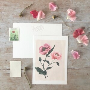 Carte postale imprimée Poppy - Histoire naturelle