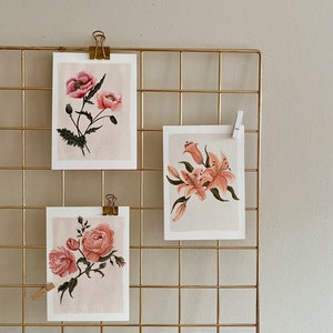 Cartes postales florales botaniques - Histoire naturelle: ensemble de 3