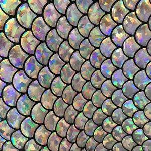 May include: Close-up of iridescent silver fabric with a scale pattern. The scales are outlined in black and have a holographic finish.