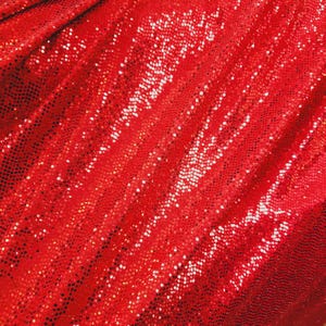 2 Way Stretch Nylon Spandex Metallic Trans Sequin Fabric by the Yard.