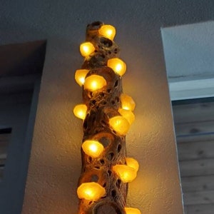 Handmade Gold 18-20" Wall Hanging Mushroom Cholla LED Lamp