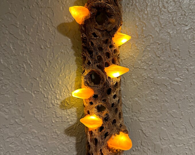 Handmade Small (8-12") Gold Wall Hanging Cholla LED Mushroom Lamp