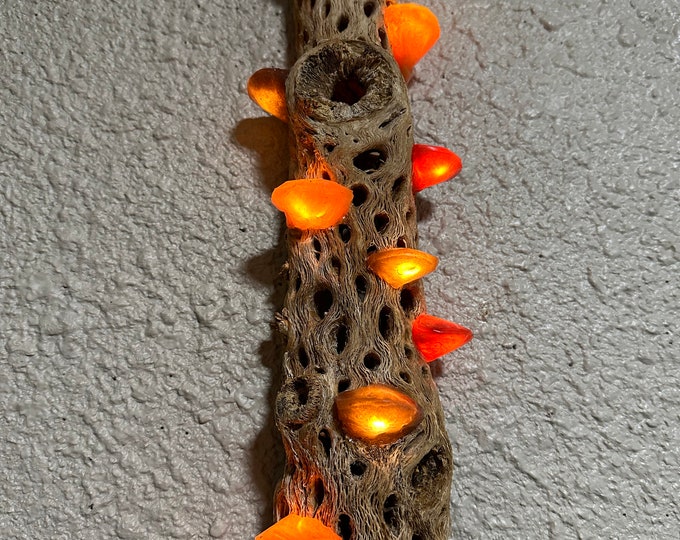 Handmade Gold, Bronze, & Copper Cholla Wall Hanging LED Mushroom Wall Lamp (13-15" tall)