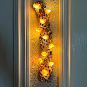 Handmade Gold Wall Hanging Cholla LED Mushroom Lamp (13-15" tall)