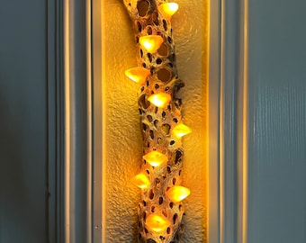 Handmade Gold Wall Hanging Cholla LED Mushroom Lamp (13-15" tall)